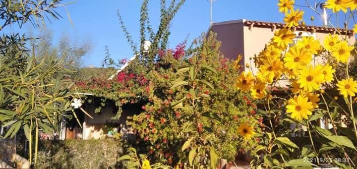 Spiti Lou Apartman Notos Szoba fotó